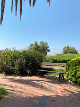 Green park scene featuring a wooden bench surrounded by vibrant greenery and flowers under a clear blue sky. Setting invites relaxation and reflection in nature embrace.