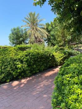 Green park scene featuring vibrant greenery and flowers under a clear blue sky. Setting invites relaxation and reflection in nature embrace.
