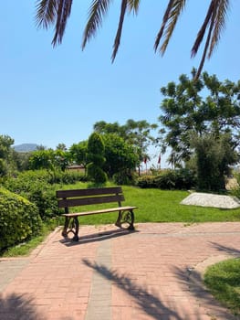 Green park scene featuring a wooden bench surrounded by vibrant greenery and flowers under a clear blue sky. Setting invites relaxation and reflection in nature embrace.