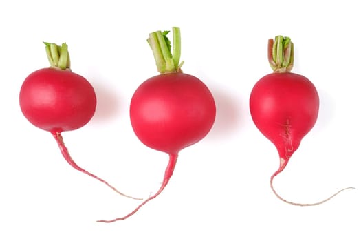 Three fresh red radishes are arranged side by side, each with bright green tops and distinct shapes. Their vibrant red skin contrasts against the white background, emphasizing their freshness.