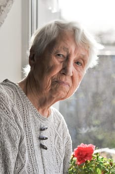 Old lonely happy woman near the window with flowers at home