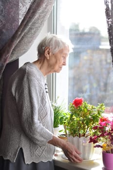 Old lonely happy woman near the window with flowers at home
