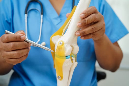 Knee osteoarthritis, Doctor showing model knee joint orthopedic.