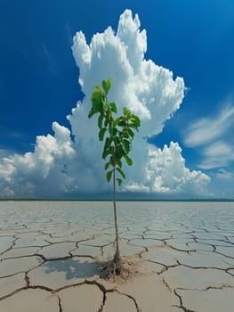 A single green plant sprouting from dry, cracked earth beneath a towering thundercloud, symbolizing hope, resilience, and nature's perseverance.