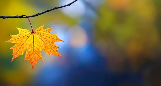 Lots of space for text on the autumnal background.
