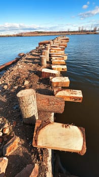 Weathered wooden logs form a makeshift jetty extending into a calm lake, with forested hills and cloudy skies creating a serene landscape.