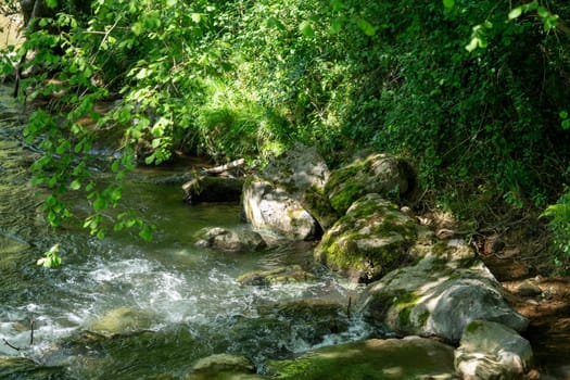 A stream with moss growing on the rocks. The water is clear and the rocks are scattered throughout the stream. The scene is peaceful and serene, with the sunlight shining on the water and the moss