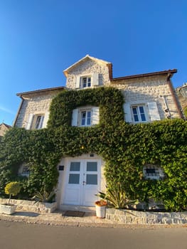 Charming stone house covered with lush green ivy under a clear blue sky exudes warmth and character. Essence of rustic beauty and timeless architecture.