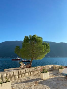 Peaceful moment captured from perspective of someone lounging under a lush, green tree overlooking a clear, blue sea. Nature and relaxation, inviting one to pause and enjoy the tranquility.