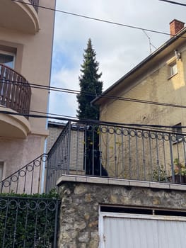 Residential scene captures a tall evergreen tree framed between two buildings with a balcony in the foreground. Contrasting textures of concrete, metal, and greenery create an urban yet natural visual balance.