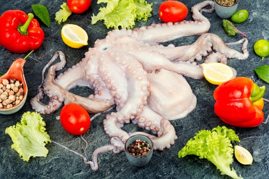 Fresh raw octopus with cooking ingredients. Concept healthy food, Mediterranean diet and seafood.