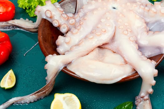 Fresh raw octopus with cooking ingredients. Concept healthy food, Mediterranean diet and seafood.