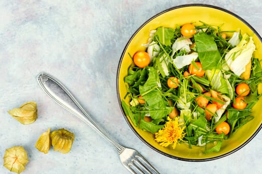 Salad from wild plants, dandelion and physalis.