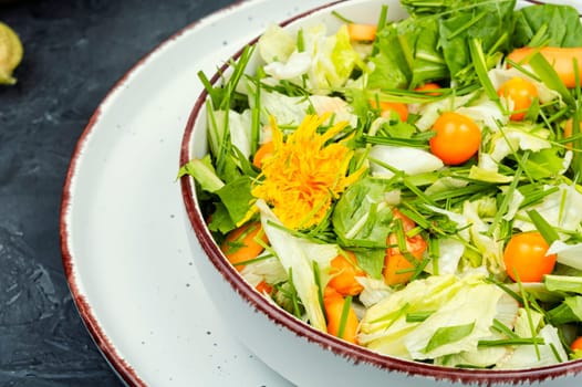 Salad from wild plants, dandelion and physalis.