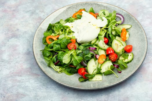 Salad of greens, tomatoes, cucumbers and fresh cream cheese Burrata. Burrata salad with vegetables on rustic wooden table
