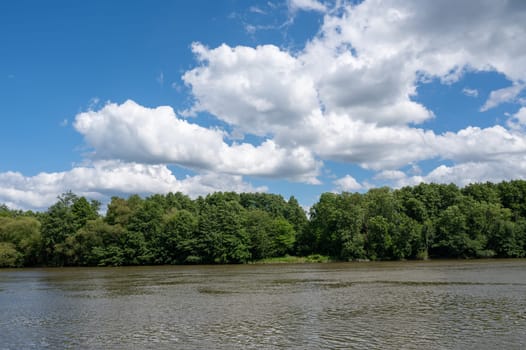 River bank in green nature with blue sky and clouds