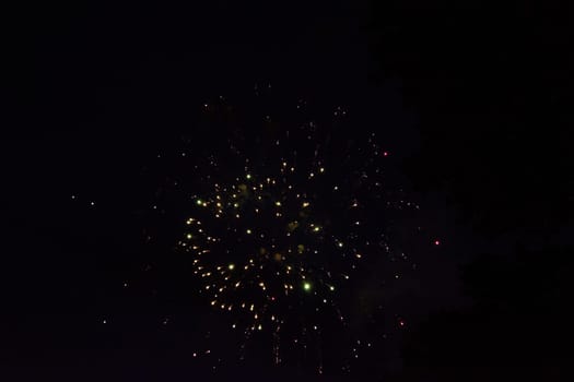 A colorful fireworks in the black night sky