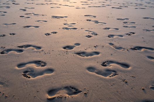 Many footprints in the wet sand by the sea, in the evening light