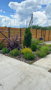 Lush garden corner with vibrant shrubbery beneath a bright, cloudy sky. Wooden fence adds a rustic touch, enhancing the natural beauty of the scene.