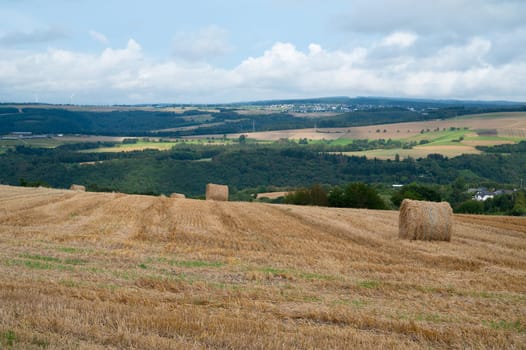 Straw bale on the field, cultivated barley, harvest in the summer, agriculture for food, farmland on the countryside