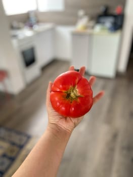 Large ripe tomato is held in palm of a hand, showcasing its vibrant red color and natural beauty. Blurred kitchen background emphasizes the focus on the freshness and size of the tomato.
