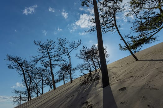 Dune of Pilat, the tallest sand dune in Europe. Arcachon Bay. Aquitaine, France
