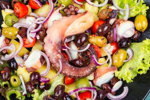A plate of octopus salad with herbs, potatoes and olives. Free space for your text. Long banner