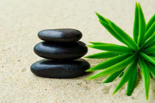 Black zen stone with plant background with customizable space for text or ideas.