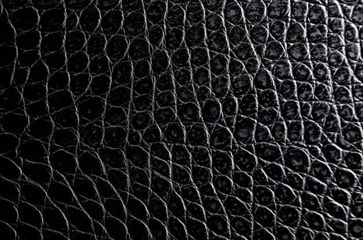Crocodile skin artificial leather with customizable space for text or for mockup.