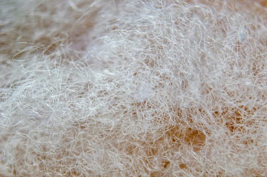Close up of white cotton suitable for wallpaper or background design.