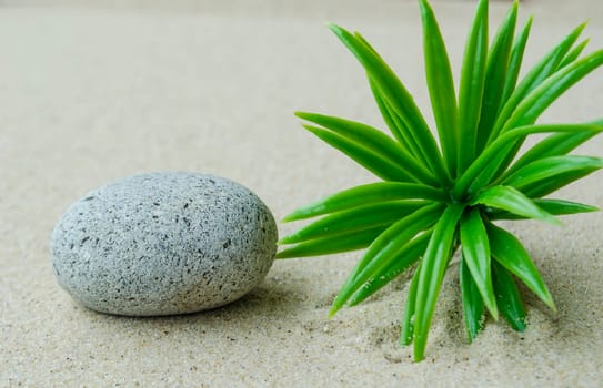 Stone with plant background with customizable space for text or ideas.