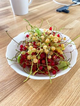 Delightful mix of red and white currants fills a white bowl, capturing the essence of summer freshness. Rustic wooden background enhances the natural, inviting presentation of the berries.