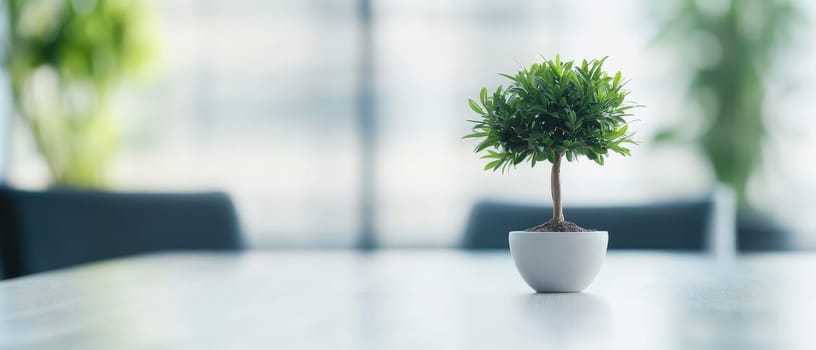 Small potted tree on white table in minimalist office interior, symbolizing growth and nature in workplace. Copy space available.