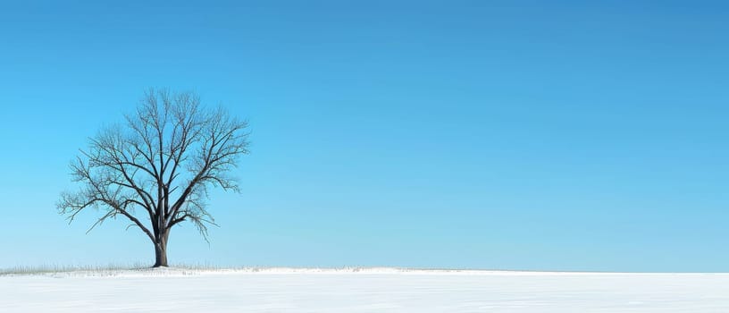 A lone tree silhouetted against a colorful winter sunset. The snow-covered field stretches out towards the horizon