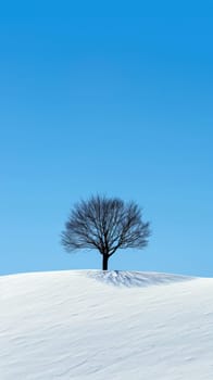 A lone tree silhouetted against a colorful winter sunset. The snow-covered field stretches out towards the horizon