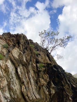 Rugged rock face rises sharply against a backdrop of blue sky dotted with white clouds, showcasing resilience of nature as a lone tree clings to cliffside. Contrast between the harshness of the rocks and the delicate beauty of sky above.