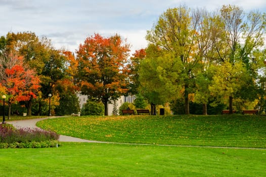 Stunning autumn colors of maple trees in Major's Hill Park, Ottawa, Canada