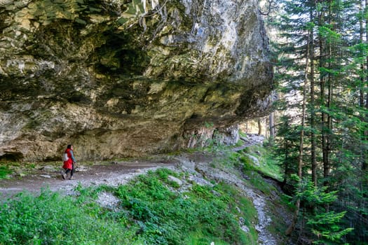 A person is walking on a path in the woods. The path is narrow and rocky, and the trees are tall and green. Scene is peaceful and serene, as the person is surrounded by nature