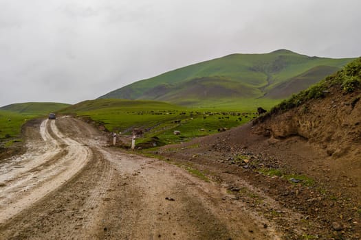 dirt road in the mountain hills at rainy summer day in Kyrgyzstan