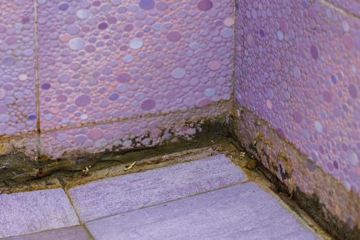 filthy dirty bathroom shower floor corner, closeup