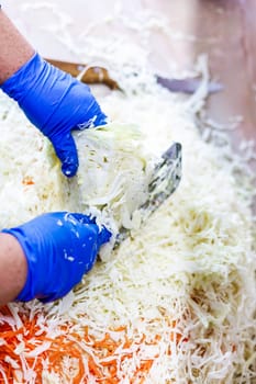 hands in blue gloves cutting cabbage with special double blade slit cabbage shredder knife during sauerkraut preparation