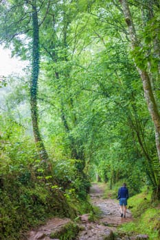 Route of the Profundu River, Villaviciosa, Asturias, Spain. A lovely walk along the river among oak trees and water mills
