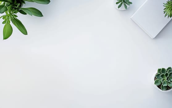 Clean white desktop with green plants in pots. Minimalist workspace or home office concept with ample copy space for text or design elements.