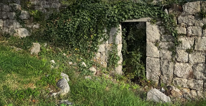 An ivy-covered stone wall with an open doorway surrounded by grass. Abandonment or decline, nature is reclaiming space. ruins