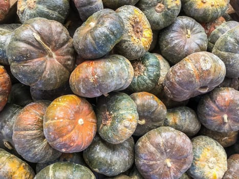 Collection of pumpkins of different colors. Autumn harvest. Halloween event. Nature and well-being.