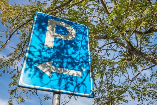 Free parking signal. Next to it, tree and hedge. Bottom view.