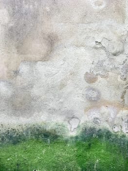 Wall damaged by moisture, mold, moss. Poor living conditions. The problem with high humidity, the fight against the fungus.
