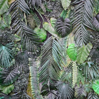 Tropical green leaves background, fern, palm and Monstera Deliciosa leaf on wall. Floral jungle pattern concept background close up