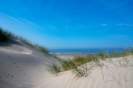 View over the dunes with beach grass towards the sea, on the North Sea coast in the Netherlands with a blue sky