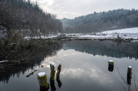 A small lake with some tree trunks in the water, with forest and reflections in the water, with snow in winter